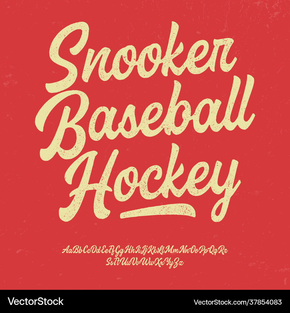 Brush script typeface Brush script typeface vector image