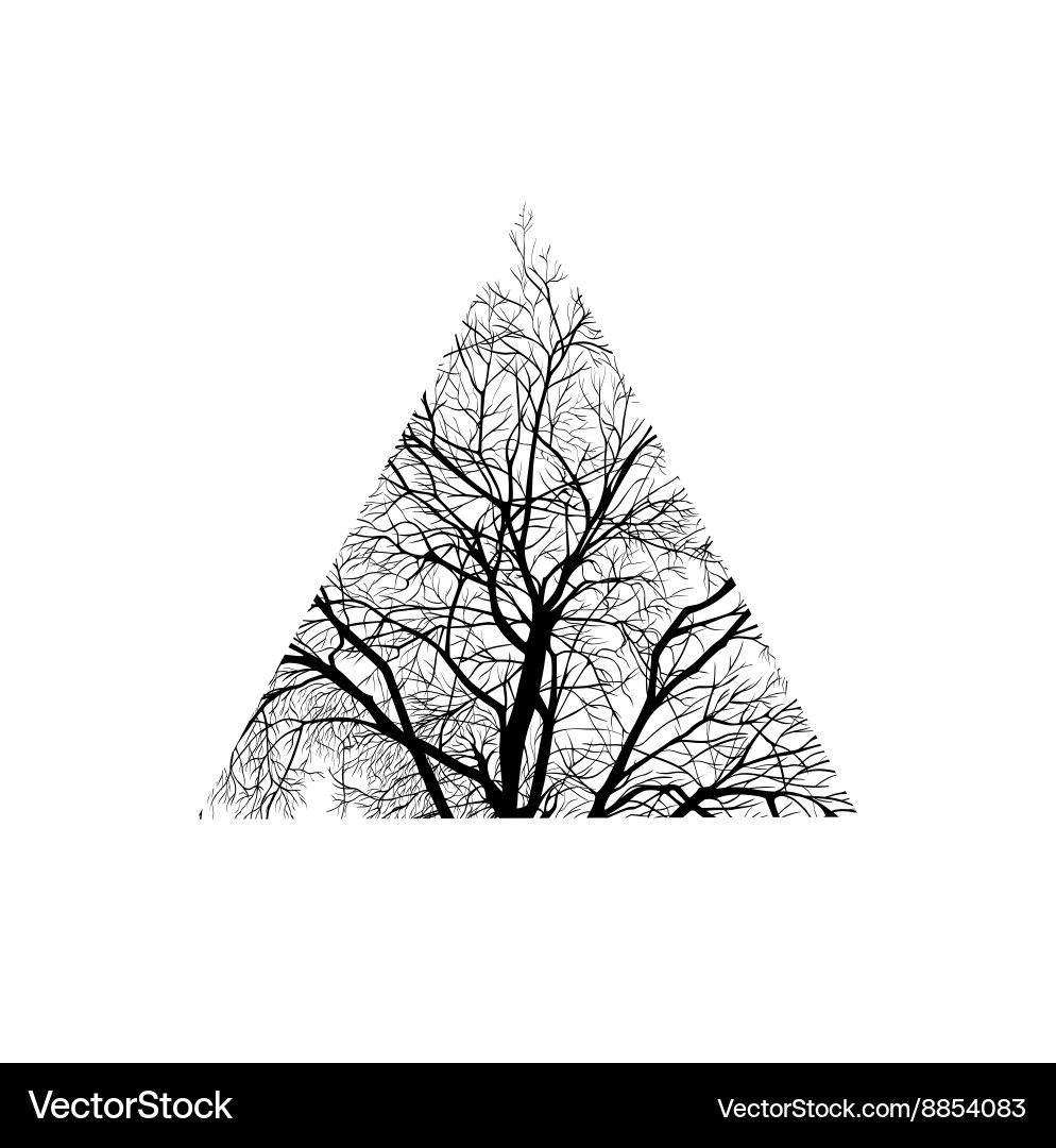 Tree trimmed in a triangle vector image