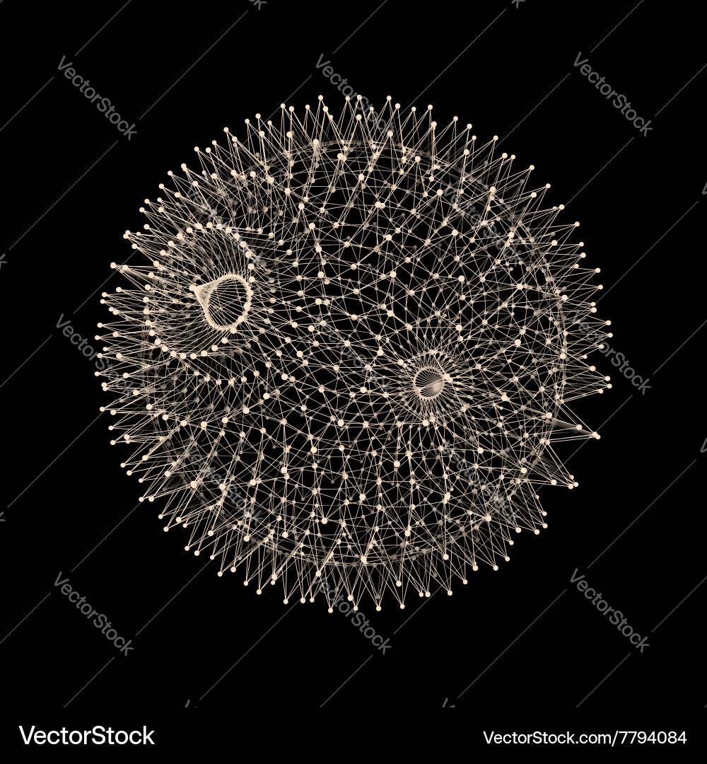 Sphere with connected lines and dots globe grid Vector Image