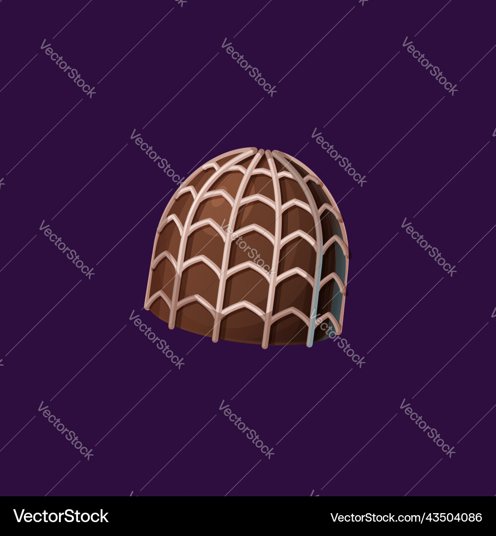Candy with spider web net sugary confection icon Candy with spider web net sugary confection icon vector image