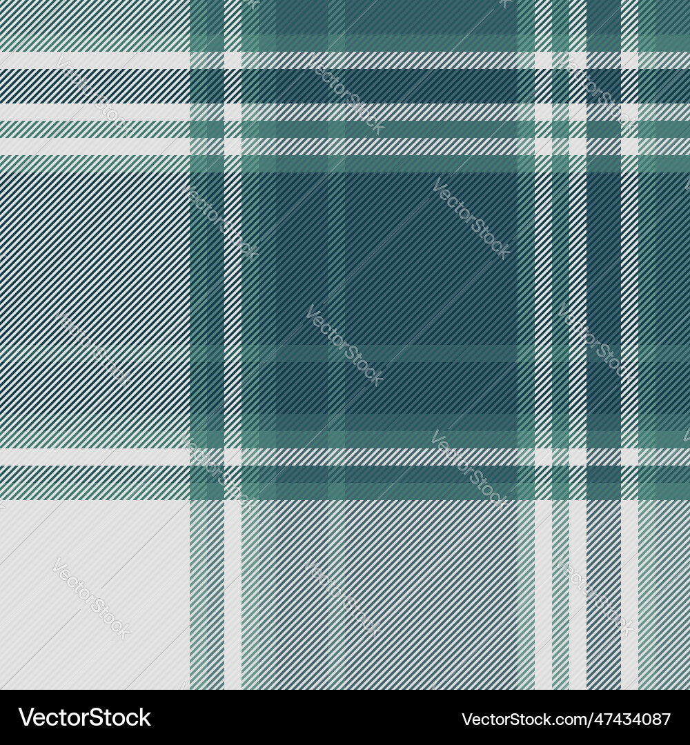 Check background pattern of plaid textile Check background pattern of plaid textile vector image