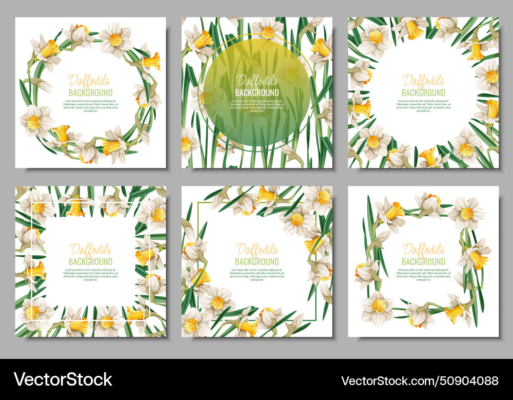 Set of spring background with daffodils postcard Set of spring background with daffodils postcard Vector Image