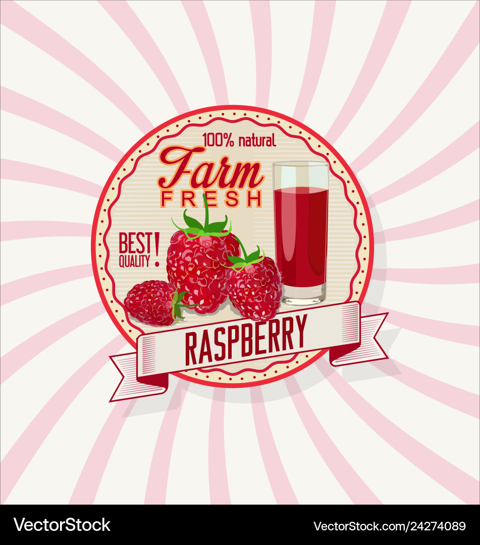 Raspberry Retro Background vector image