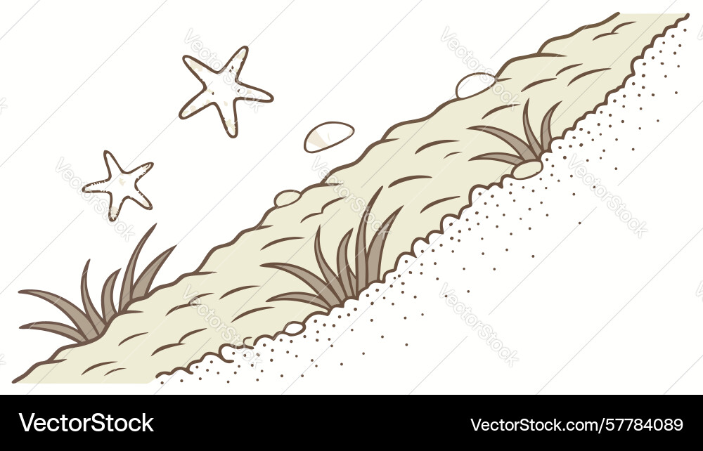 Sandy path with starfish shells design Vector Image