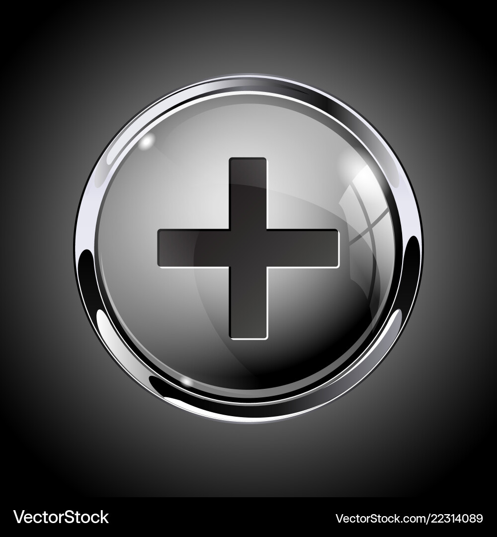 Shiny 3D Gray Plus Button Icon Vector Image