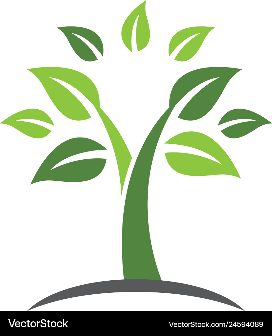 Tree icon Tree icon Vector Image