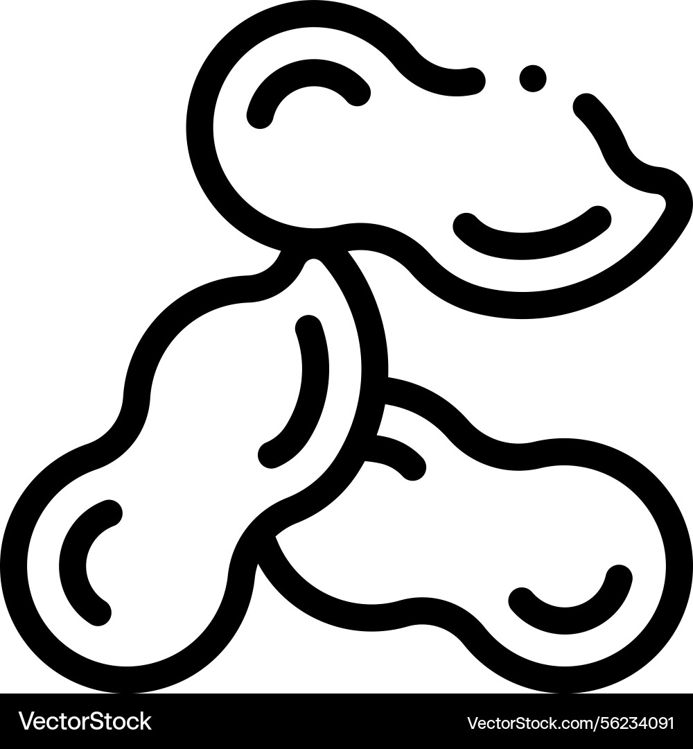 Peanut icon thin linear style design isolated Vector Image