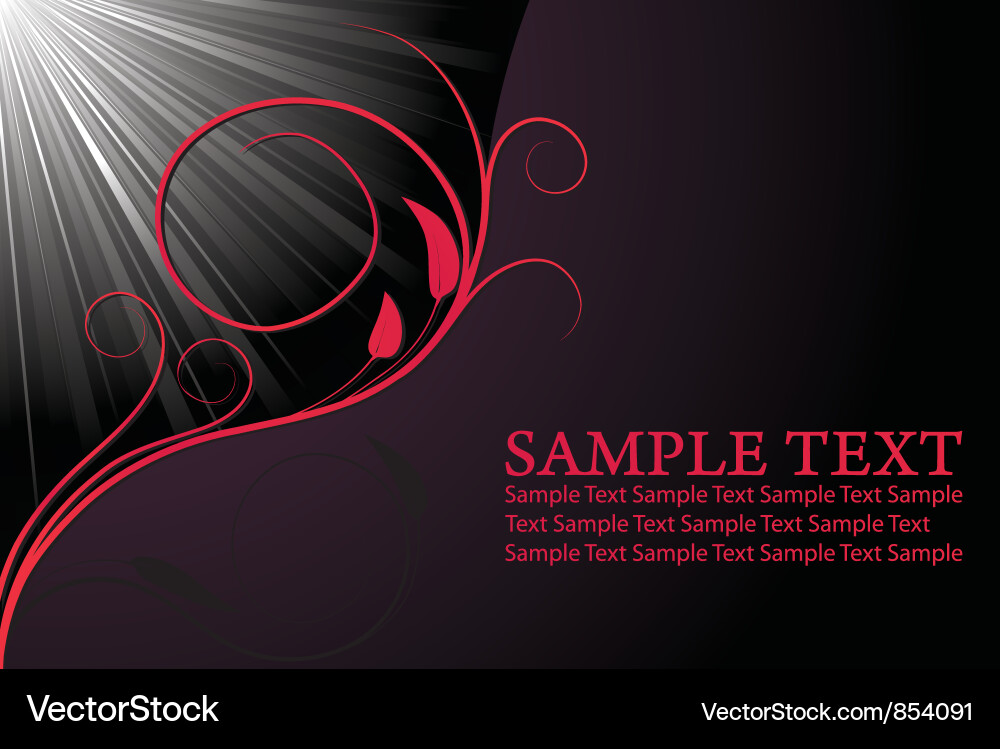 Retro floral background Vector Image