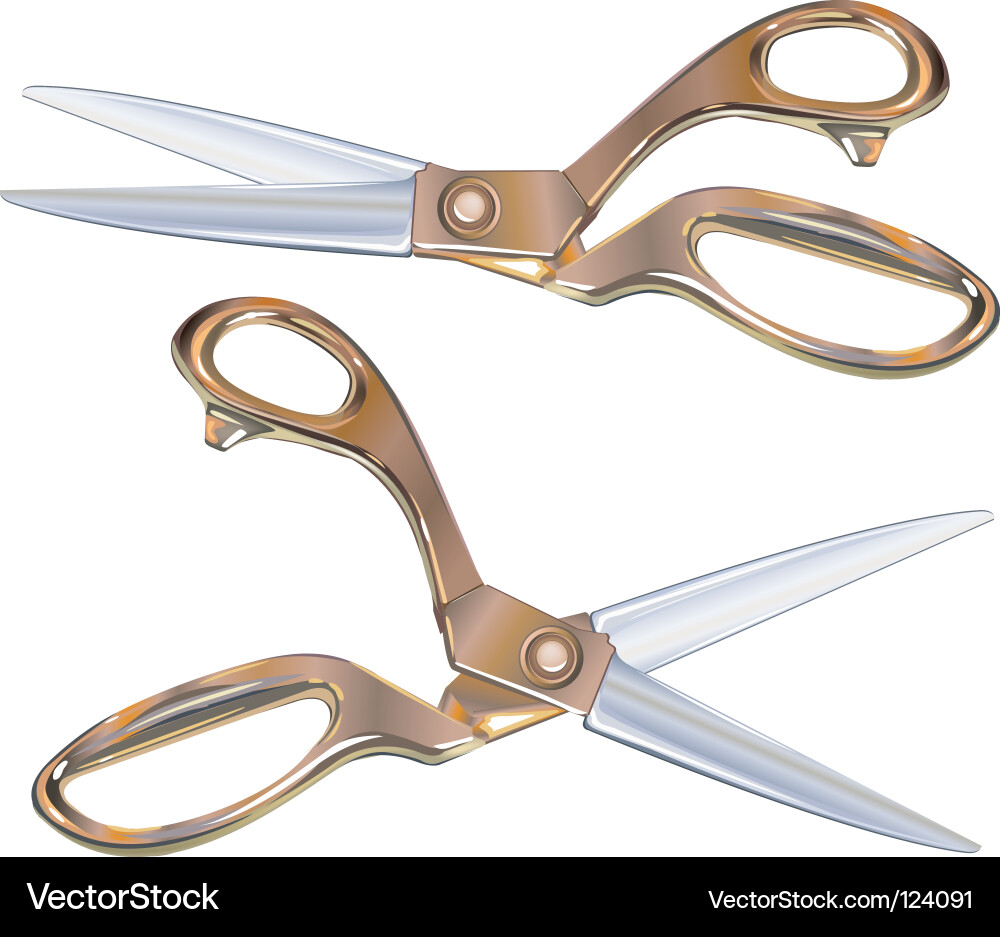 Scissors Set Vector Image