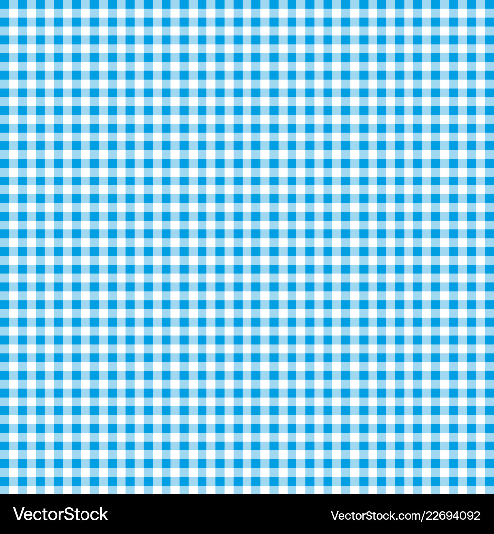 Blue and white gingham background texture Blue and white gingham background texture vector image