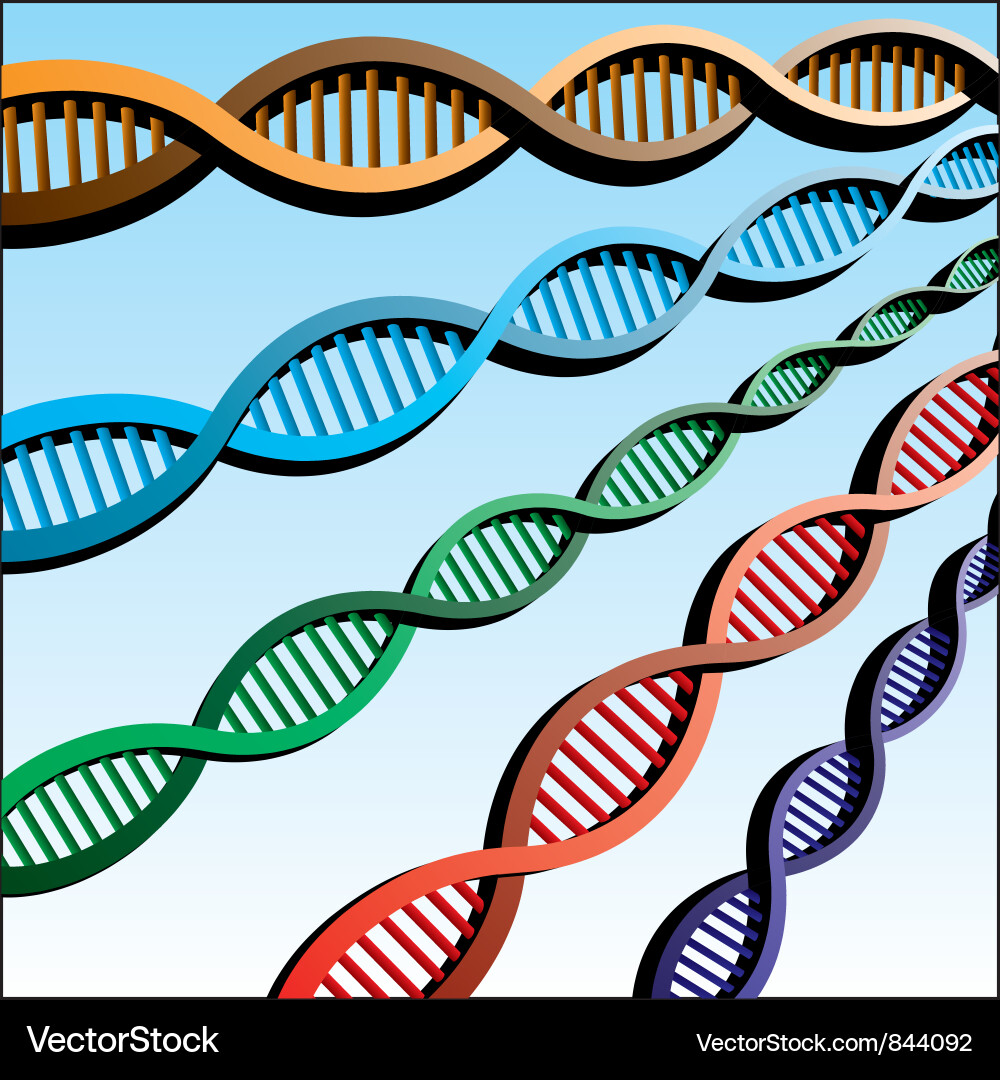 DNA Helix Background Vector Image