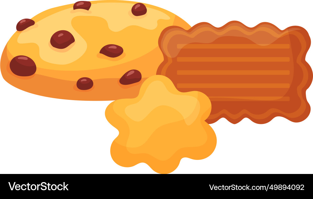 Three different types of cookies with chocolate Vector Image