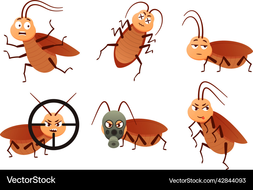 Cockroach character roach insects bugs control Cockroach character roach insects bugs control vector image