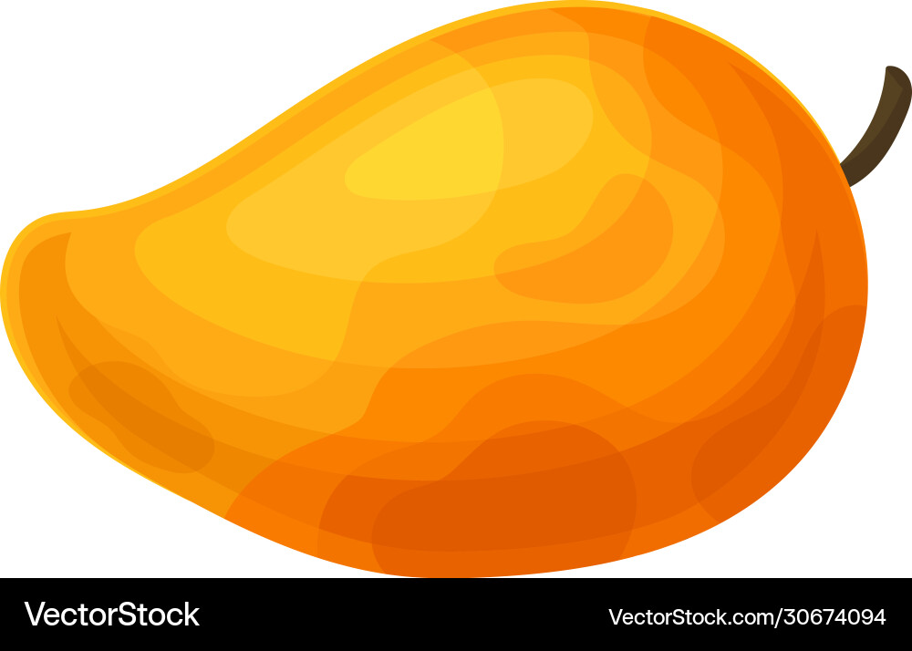 Orange tropische Mango Frucht isoliert auf weiß Orange tropische Mango Frucht isoliert auf weiß vektorbild