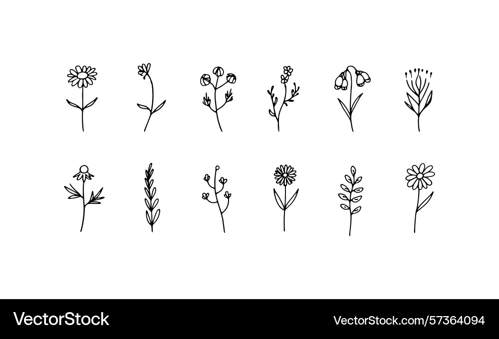 Tiny botanical icons a structured set of very Vector Image
