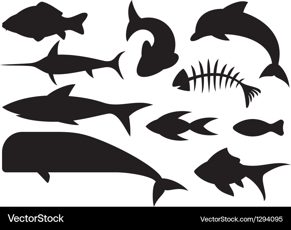 Diverse Fish Icon Set Vector Image