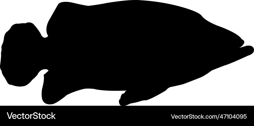 Fish silhouette Vector Image