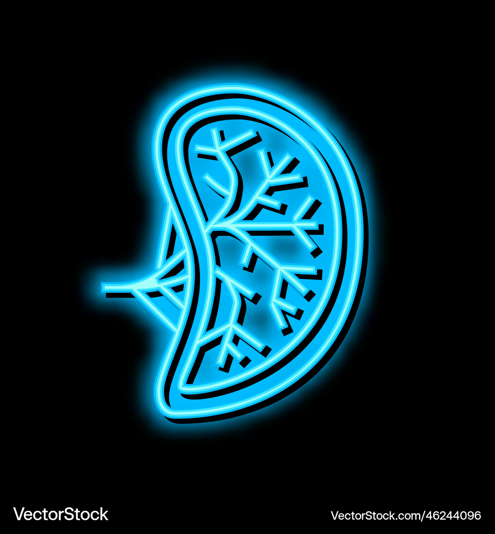 Spleen menschliches Organ Neon Glühikone Spleen menschliches Organ Neon Glühikone vektorbild