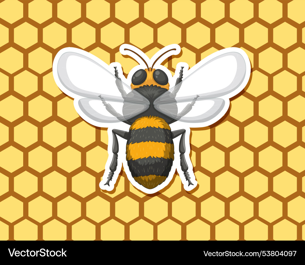 A bee resting on honeycomb pattern A bee resting on honeycomb pattern vector image