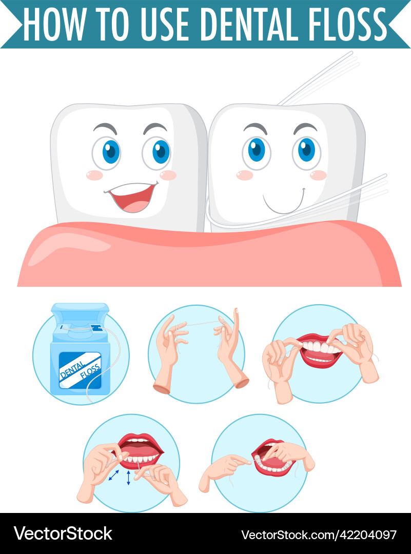 Clean tooth and process of flossing on white Vector Image