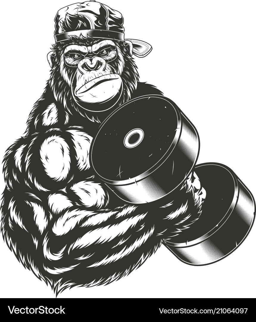 Ferocious Gorilla Bodybuilder vector image