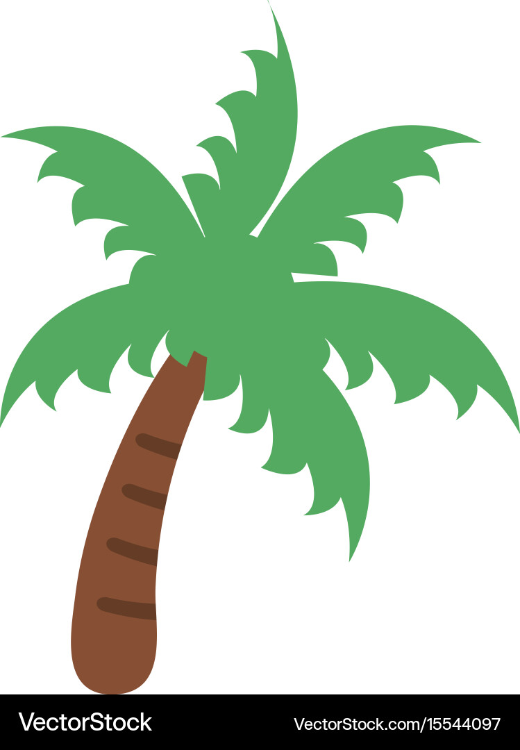 Palm tree icon image Vector Image
