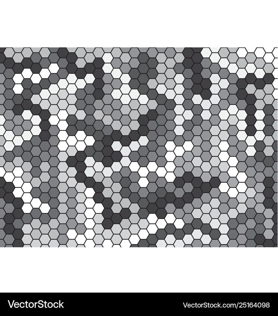 Geometric Hexagon Block Pattern vector image