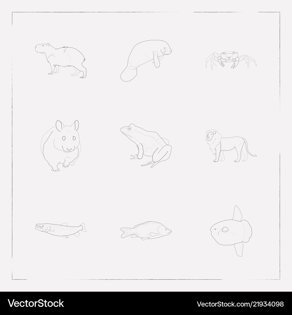 Set of zoo icons line style symbols with frog Set of zoo icons line style symbols with frog vector image