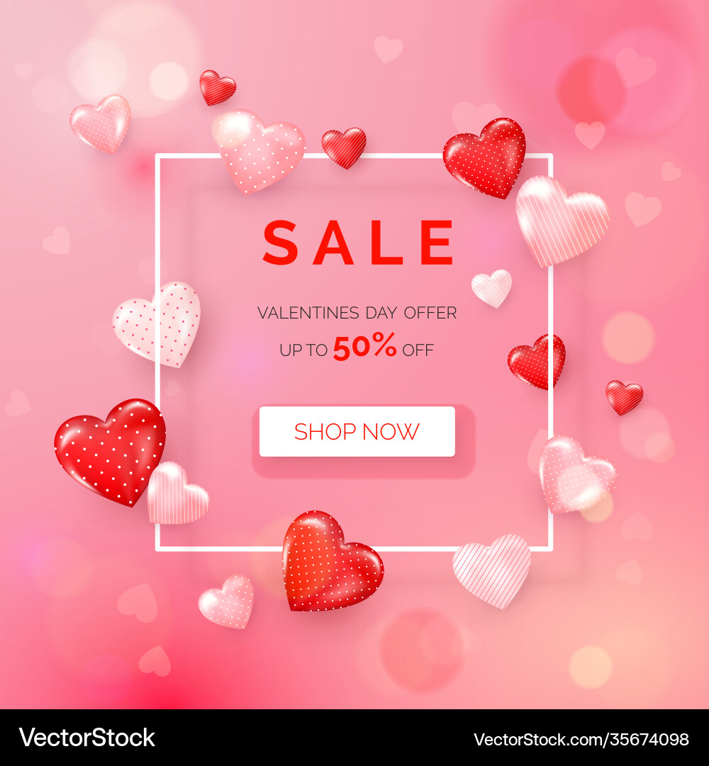 Valentines day holiday offer web banner vector image