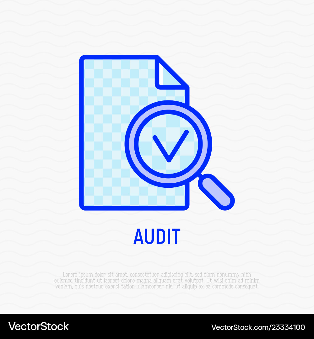 Audit Magnifier with Mark vector image