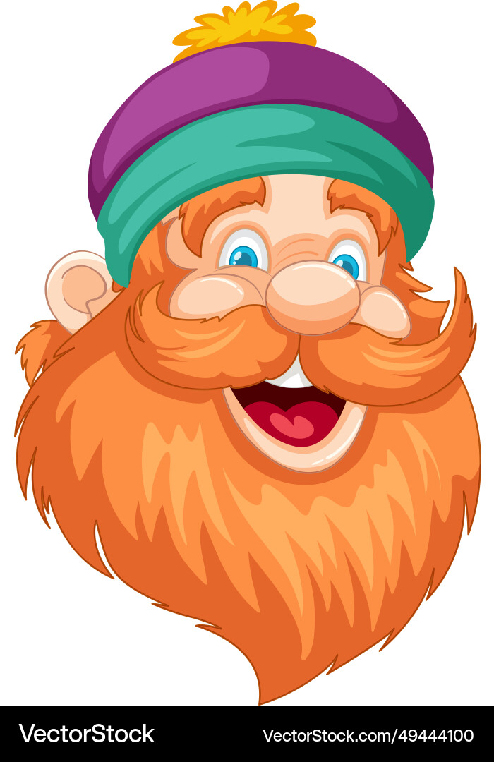 Smiling man with beard and mustache Vector Image