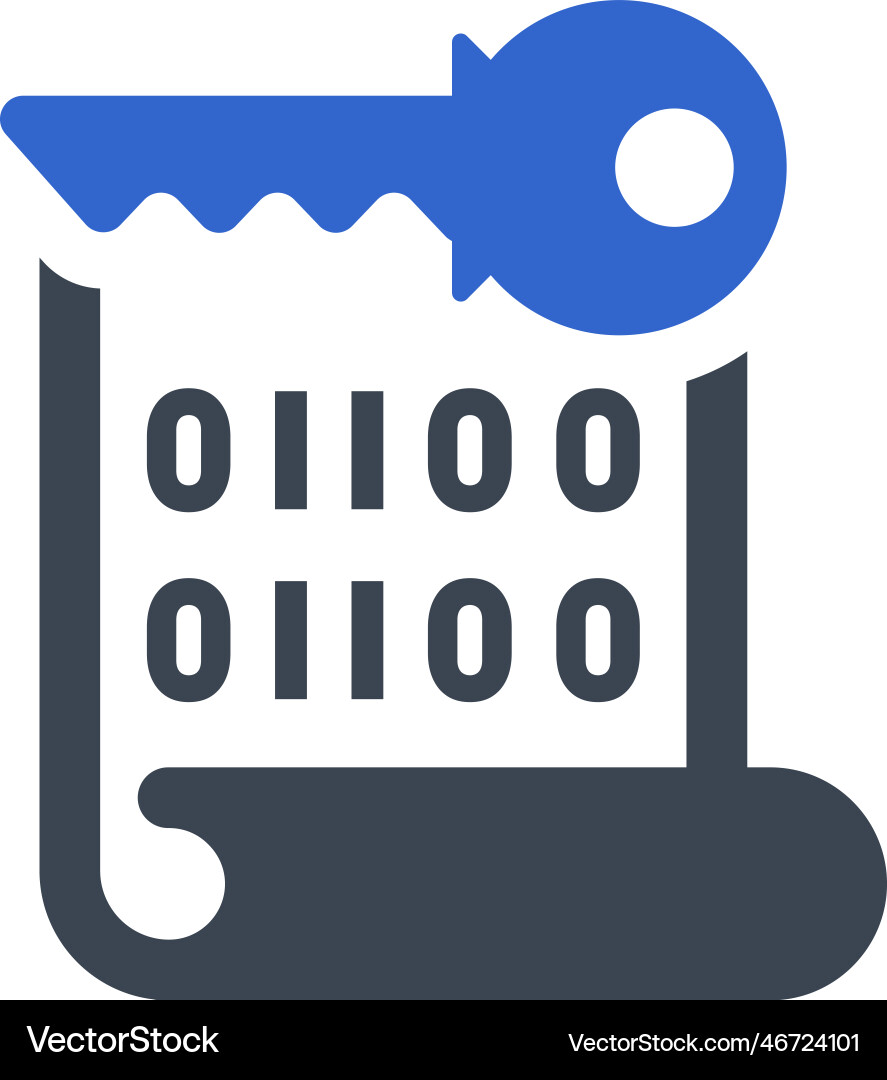 Encryption key icon vector image