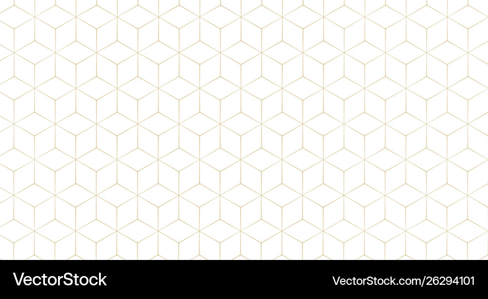 Hexagonal Line Pattern Background vector image
