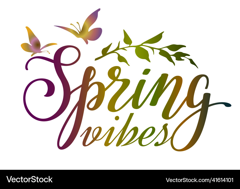 Spring vibes colorful lettering phrase with branch Spring vibes colorful lettering phrase with branch vector image
