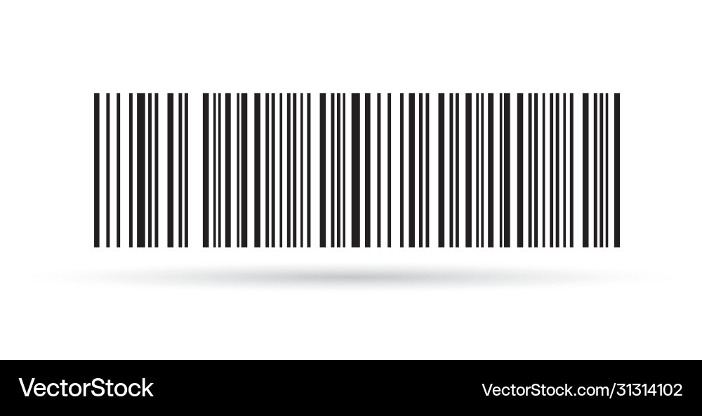 Qr codes barcodes vector image