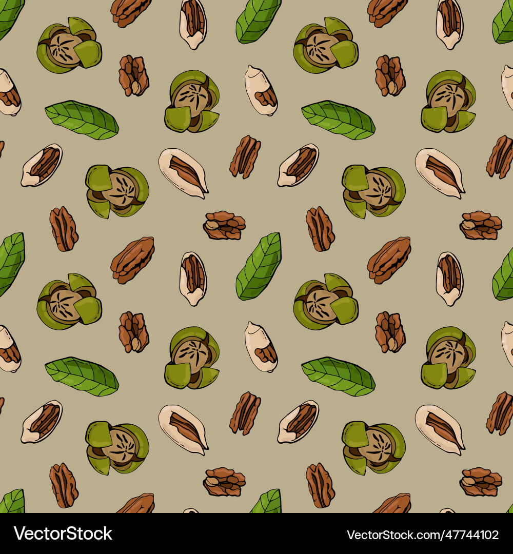 Seamless pattern with pecan nuts Vector Image
