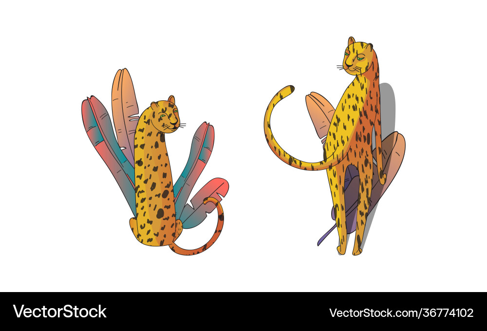 Spotted leopard with yellowish skin and long body Spotted leopard with yellowish skin and long body Vector Image