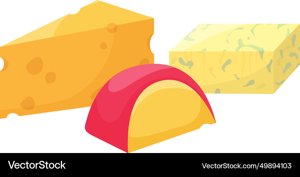 Different types of cheese blocks Different types of cheese blocks vector image