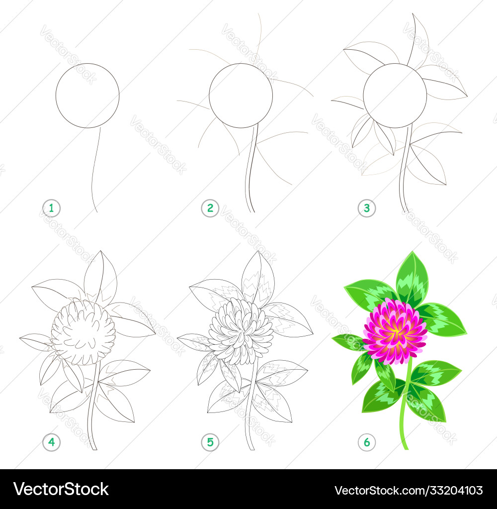 Page shows how to learn step draw Vector Image
