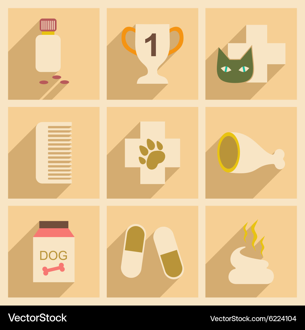 Flat with shadow concept and mobile application vector image