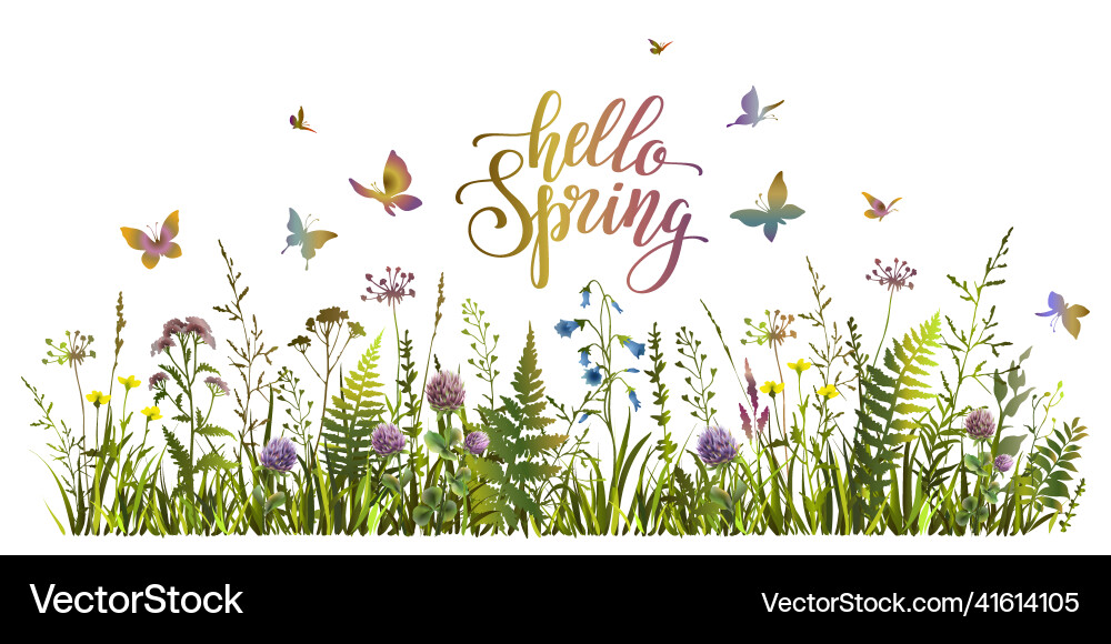 Hello spring colorful with meadow vector image
