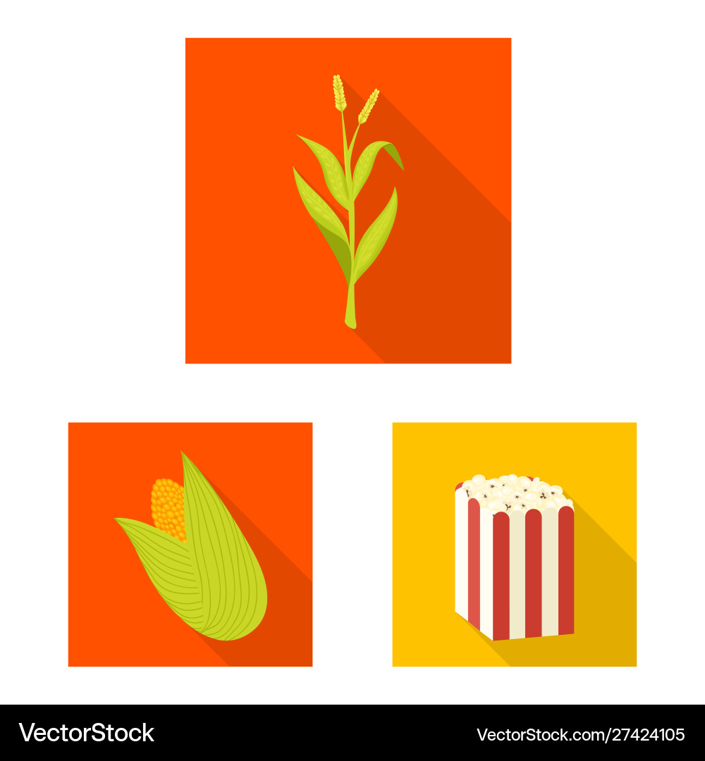Isolated object cornfield and vegetable icon Isolated object cornfield and vegetable icon vector image