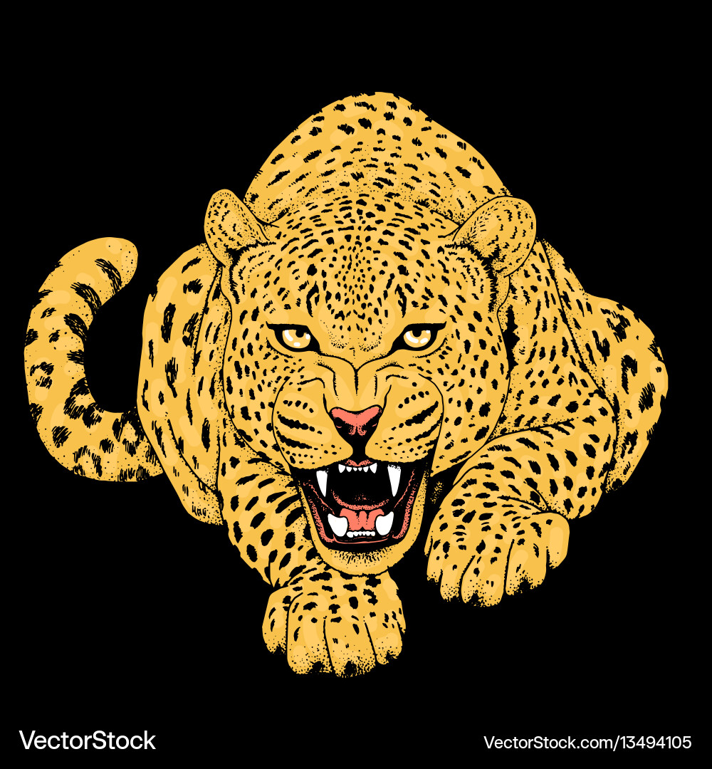 Leopard Face Print vector image