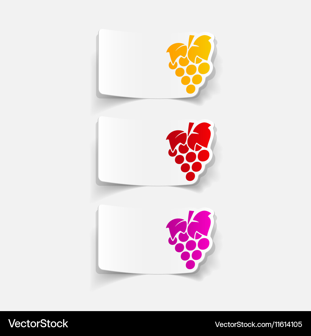 Realistic design element grapes Vector Image
