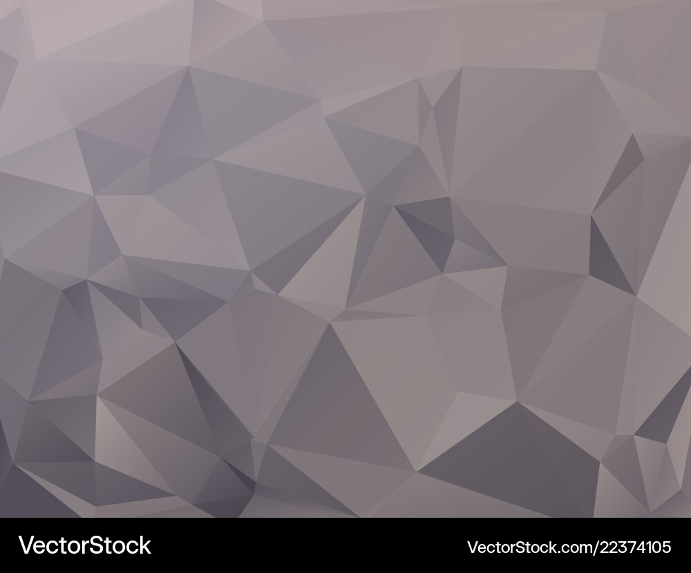 Triangular Gray Abstract Polygon Background vector image