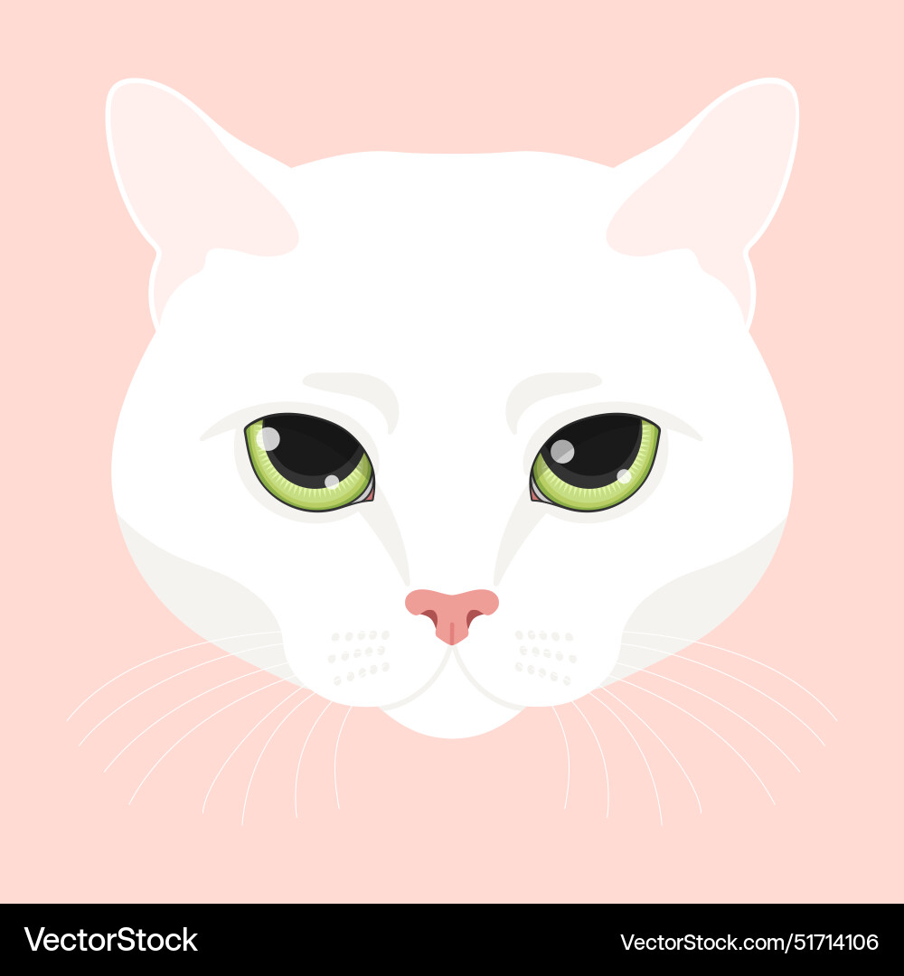 Cat head on pink background feline face white Vector Image