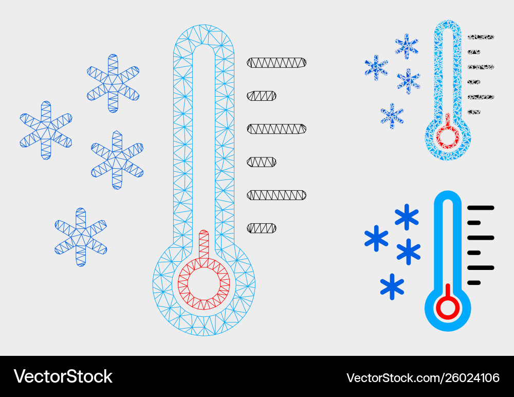 Frost temperature mesh wire frame model Frost temperature mesh wire frame model vector image