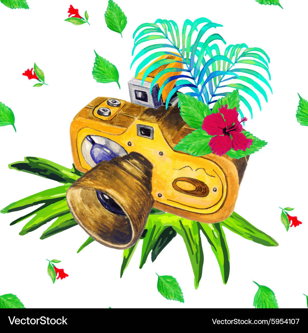 Camera pattern Vector Image