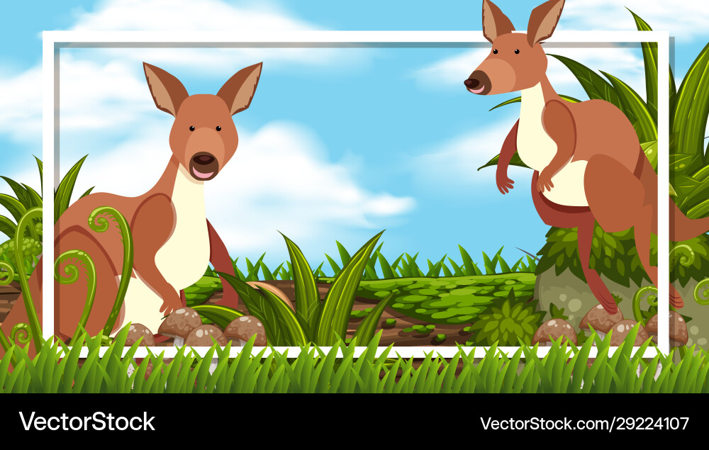 Frame design with in woods background Frame design with in woods background vector image