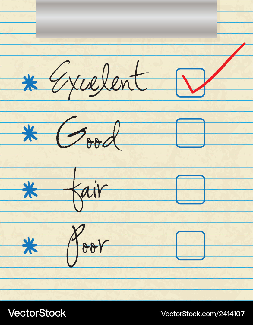 Tick placed in excellent checkbox on customer vector image